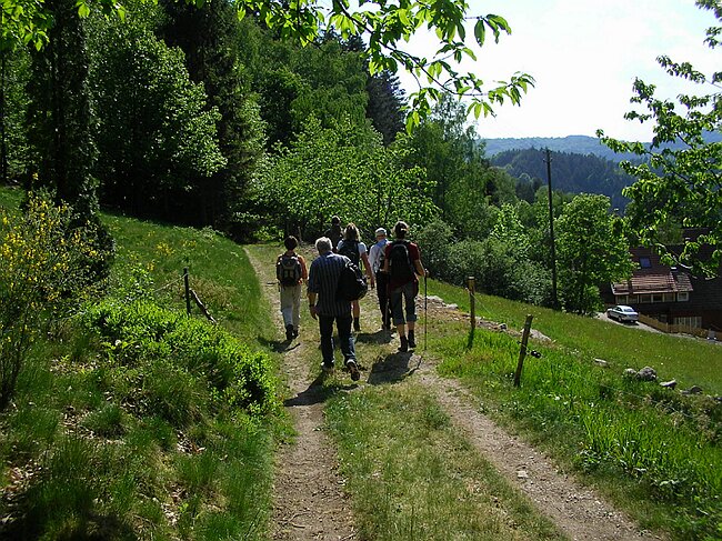 SANY5402.JPG