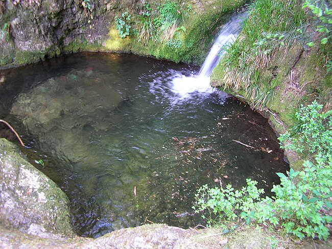 SANY5418.JPG
