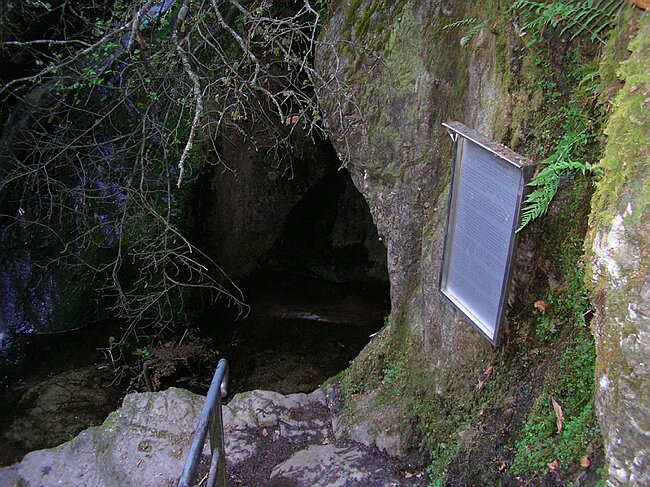 SANY5429.JPG