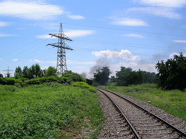 SANY6011.JPG