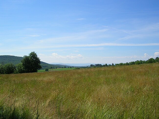 SANY5987.JPG