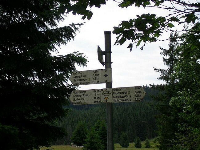 SANY6217.JPG