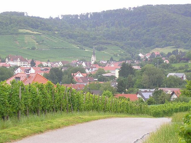 SANY6359.JPG