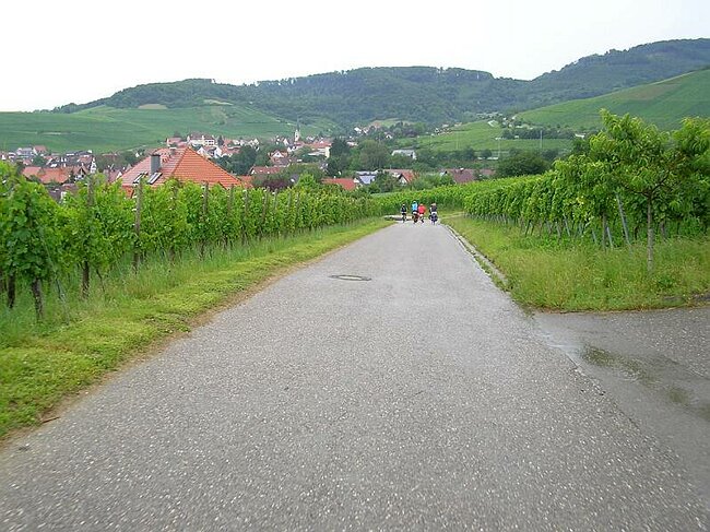 SANY6360.JPG