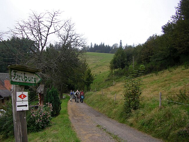 SANY6993.JPG