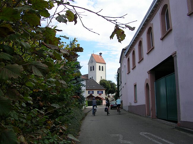 SANY7304.JPG
