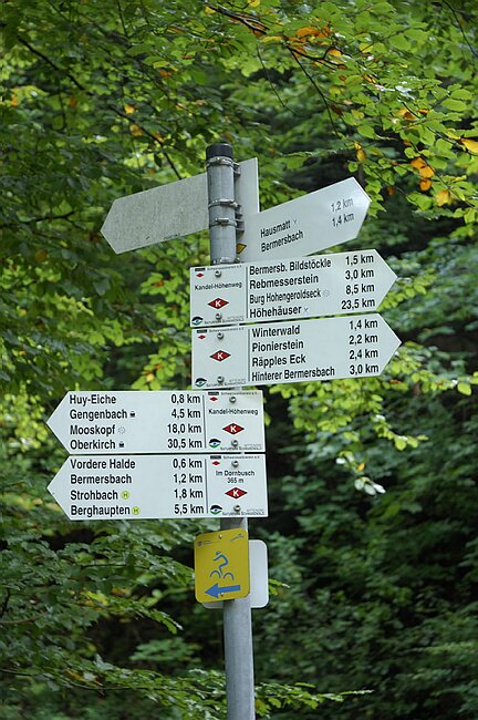 Gengenbach-06.jpg