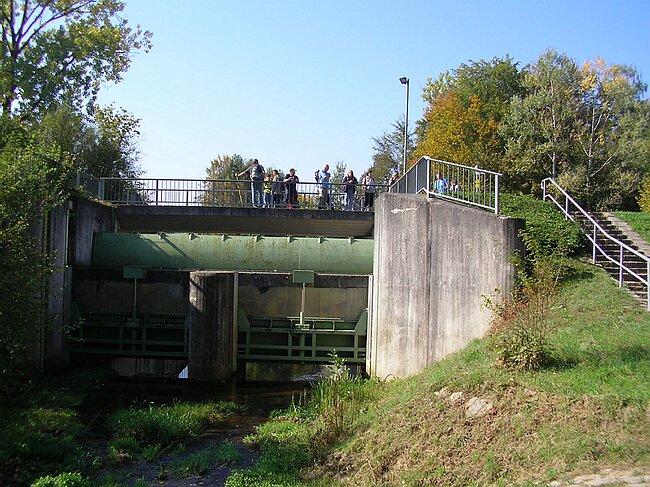 SANY7354.JPG