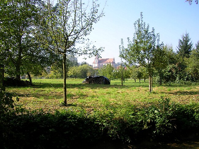 SANY7345.JPG