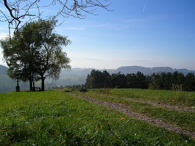SANY7400.JPG