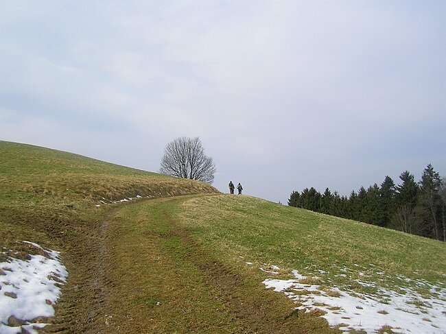 SANY8172.JPG