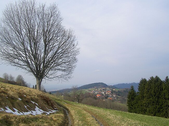 SANY8173.JPG