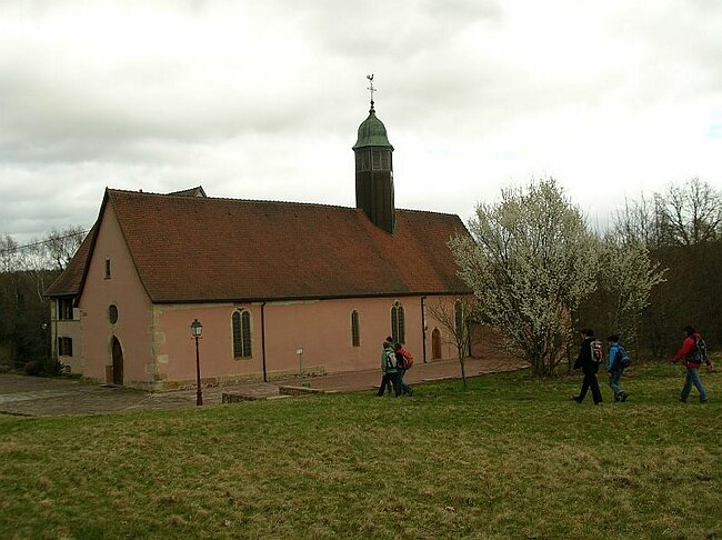 08-03-16-Wanderung-Elsass-Sulzmatt%20033.jpg