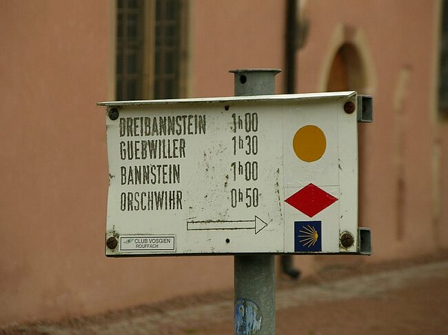 08-03-16-Wanderung-Elsass-Sulzmatt%20034.jpg