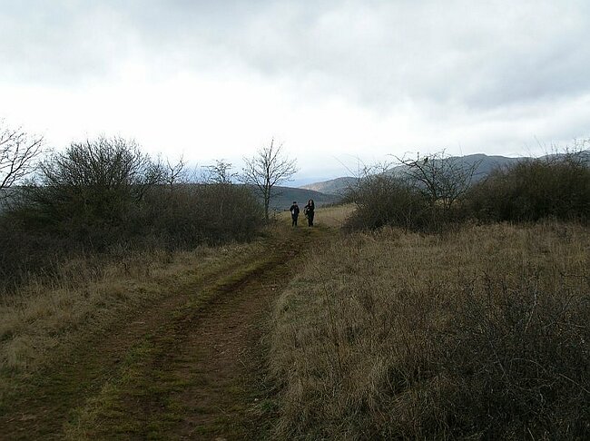 08-03-16-Wanderung-Elsass-Sulzmatt%20009.jpg