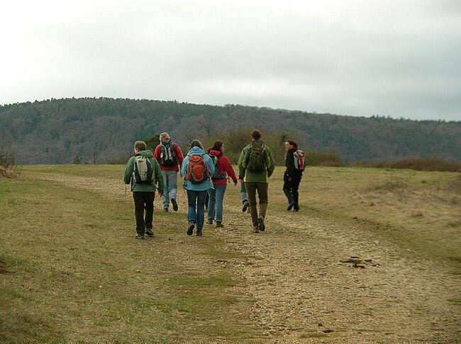 08-03-16-Wanderung-Elsass-Sulzmatt%20018.jpg