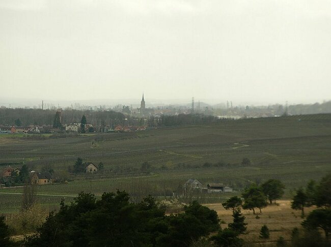 08-03-16-Wanderung-Elsass-Sulzmatt%20021.jpg