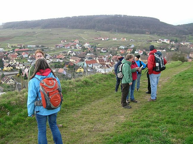 08-03-16-Wanderung-Elsass-Sulzmatt%20005.jpg