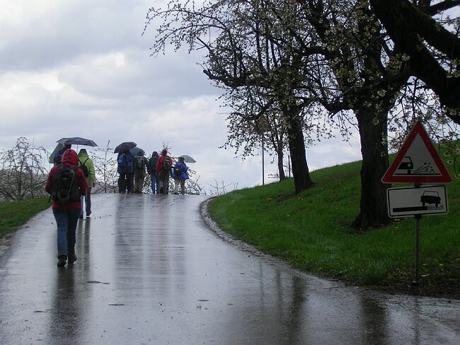 SANY8374.JPG