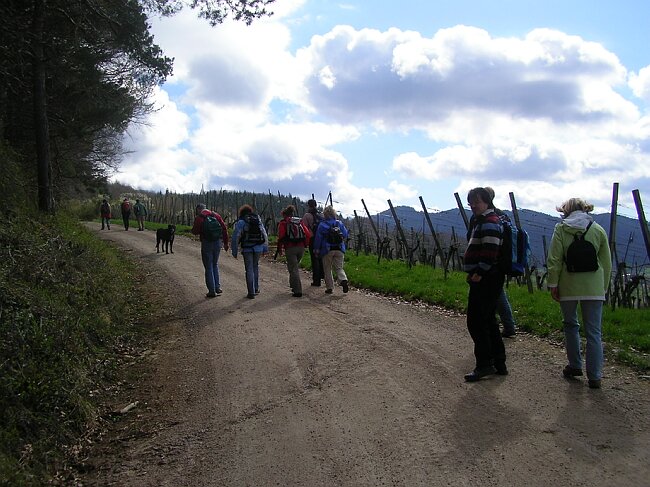 SANY8346.JPG