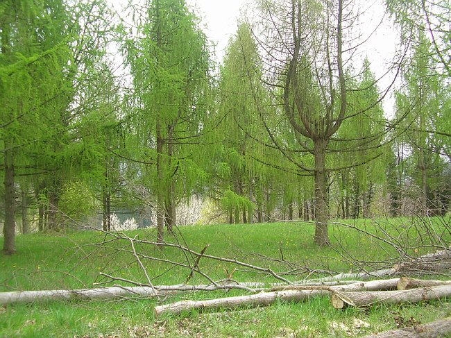 SANY8418.JPG