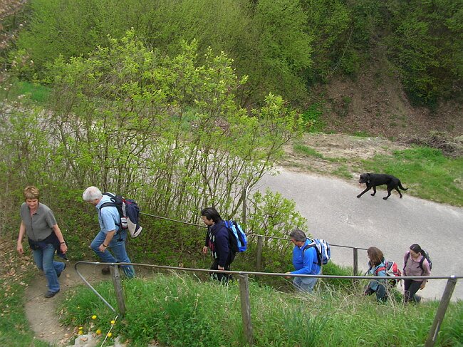 SANY8387.JPG