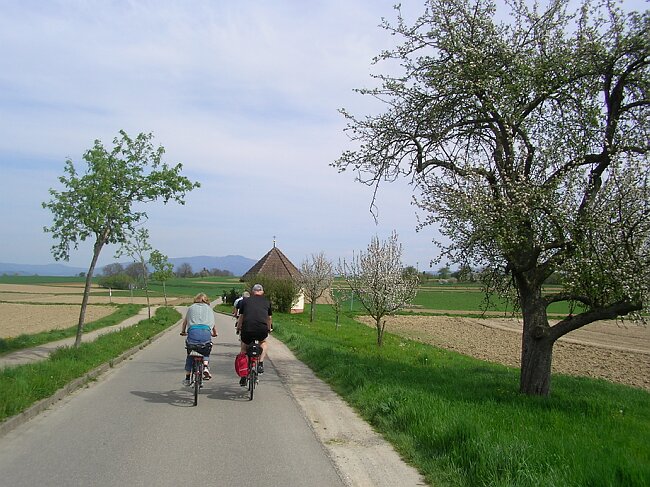 SANY8493.JPG