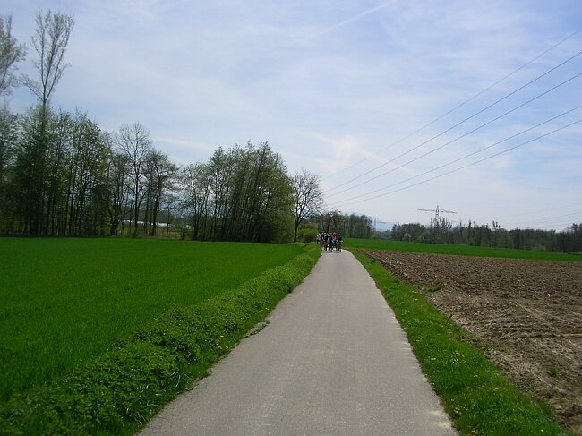 SANY8480.JPG