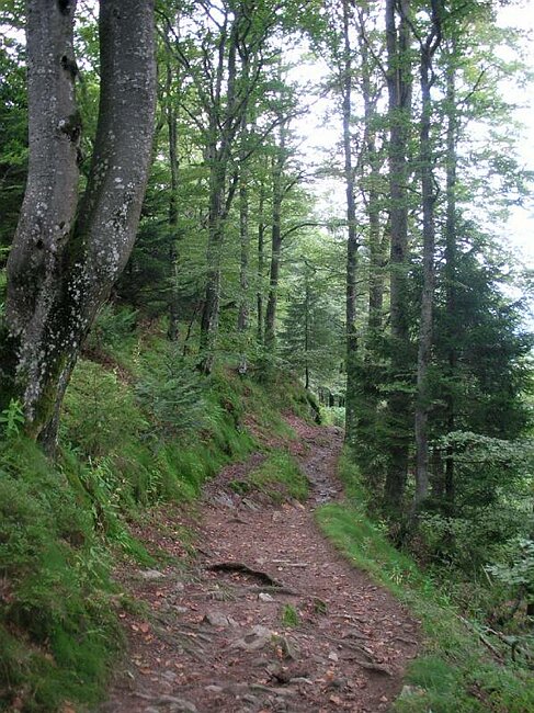 SANY0479.JPG