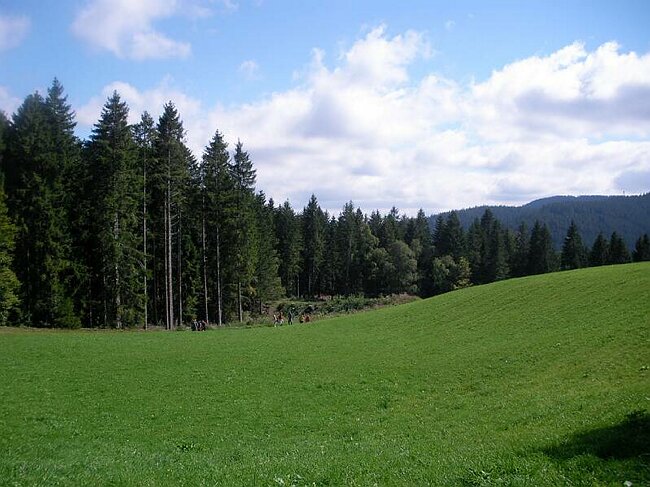 SANY0464.JPG