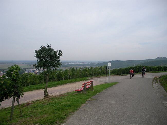 SANY0536.JPG
