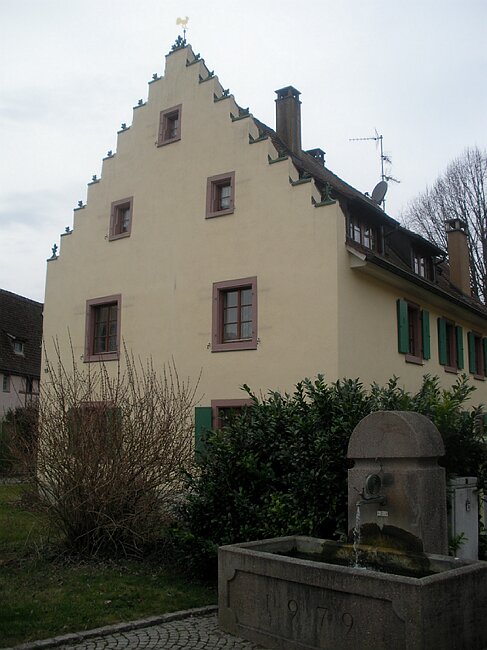 SANY1378.JPG