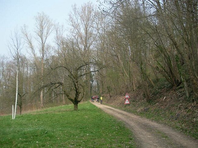 SANY1483.JPG