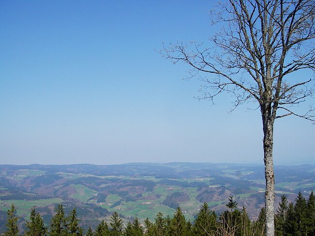 IMGP1619.JPG