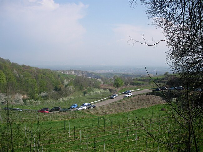 SANY1639.JPG