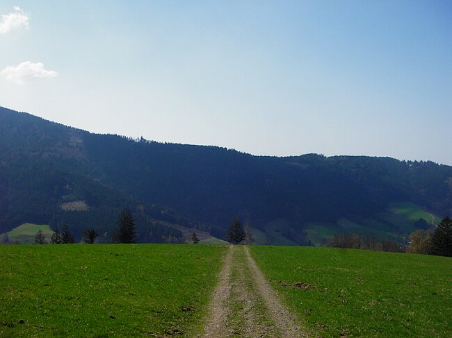 IMGP1624.JPG