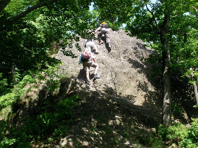 SANY2199.JPG
