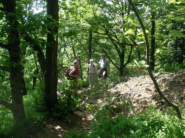 SANY2206.JPG