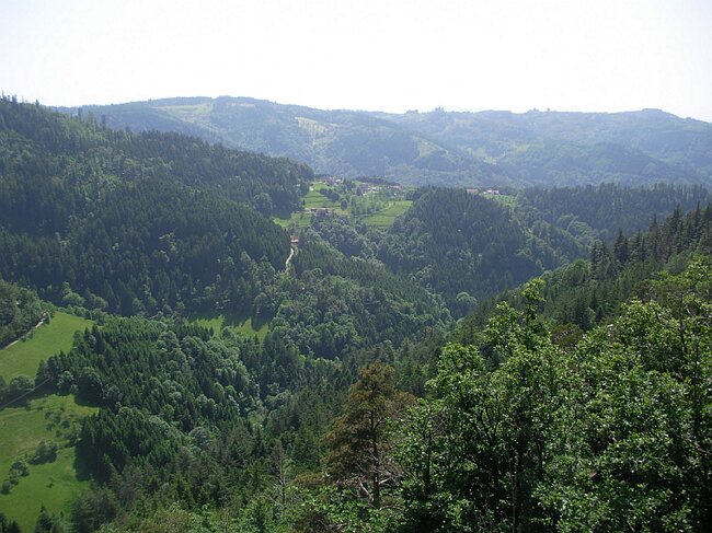SANY2211.JPG