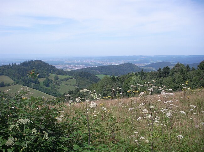 SANY2877.JPG