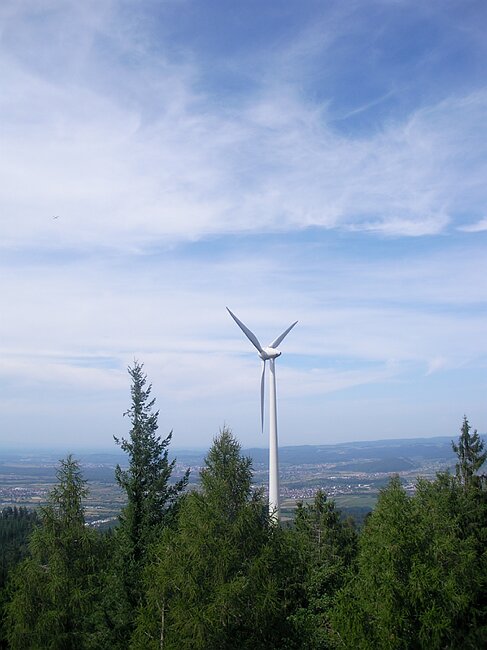SANY2902.JPG