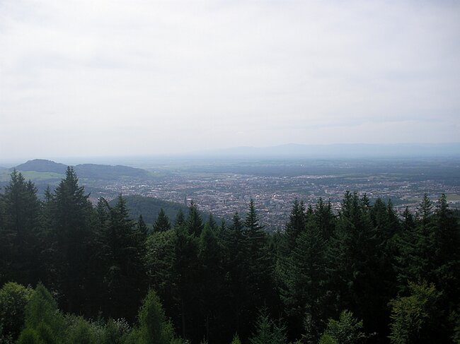 SANY2905.JPG