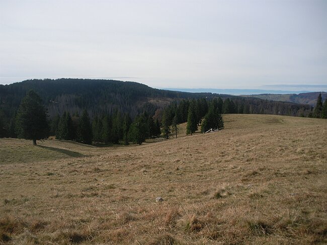 SANY3879.JPG