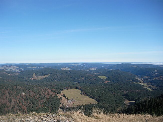 SANY3869.JPG