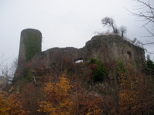 SANY3949.JPG