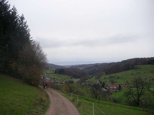 SANY3970.JPG