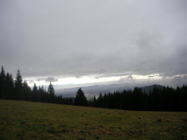SANY4010.JPG