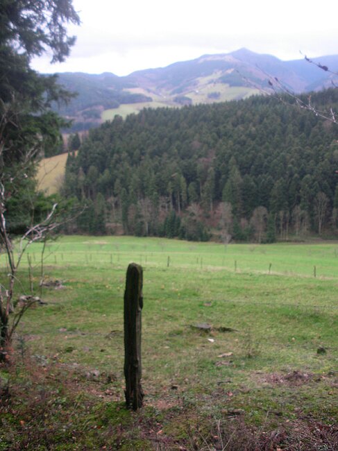 SANY4012.JPG