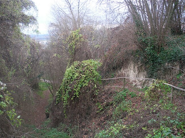 SANY4044.JPG