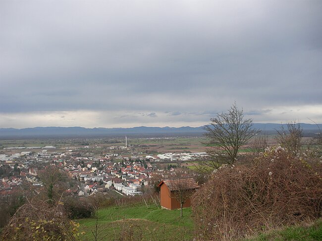 SANY4026.JPG